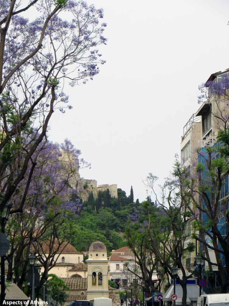 Jacarandas and Monastiraki square in the background